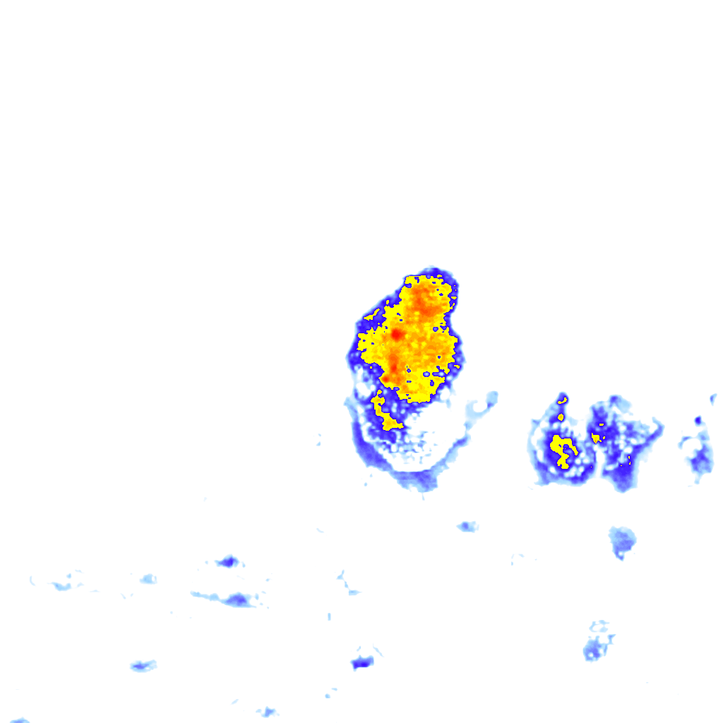Image Layer
