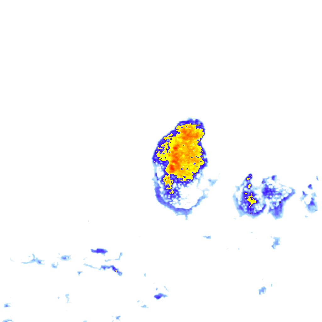 Image Layer
