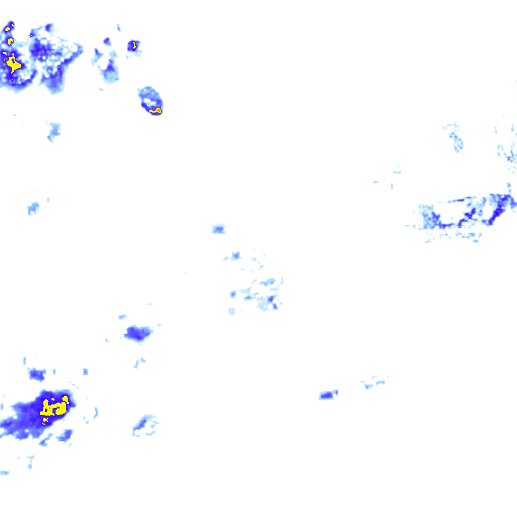 rainLayer