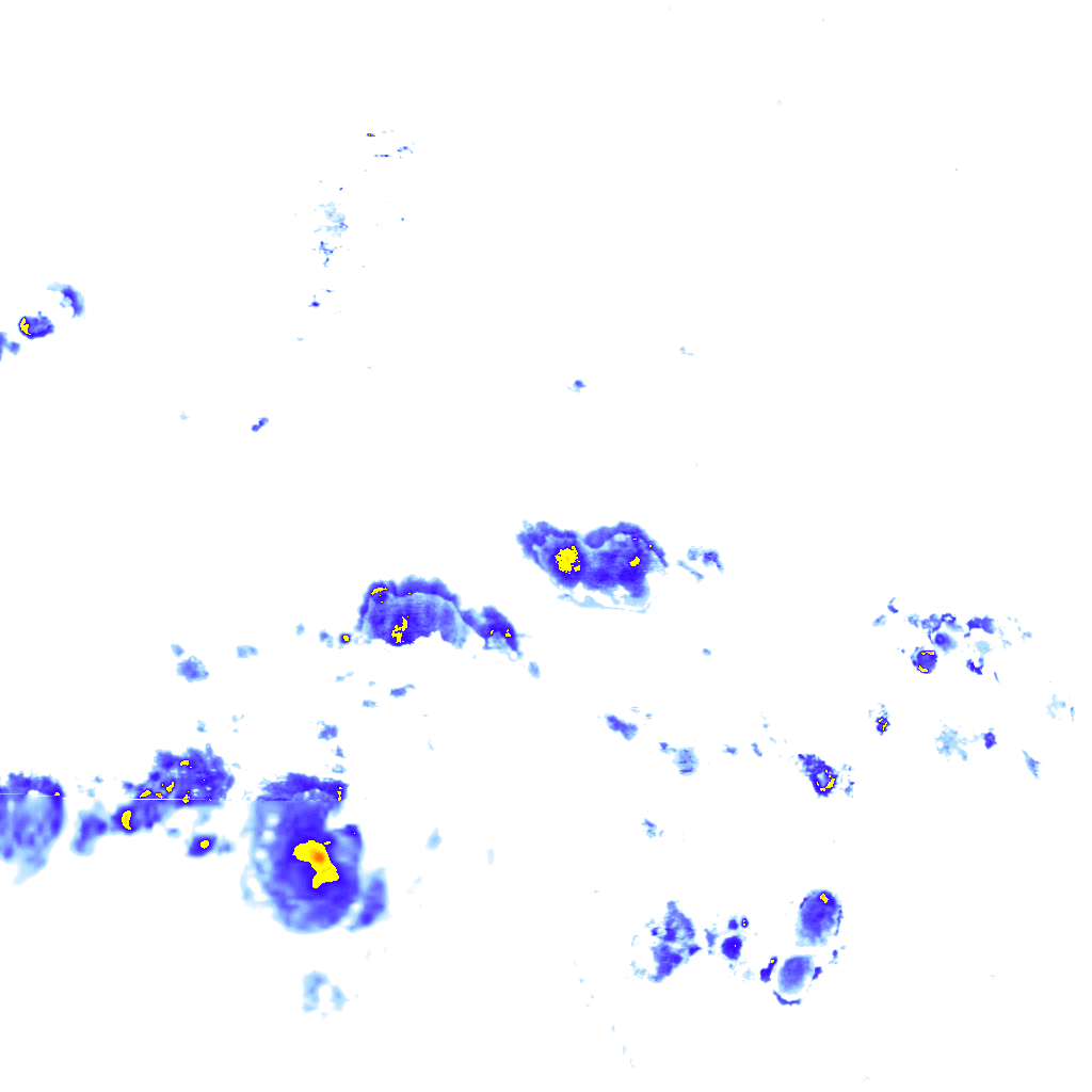 rainLayer