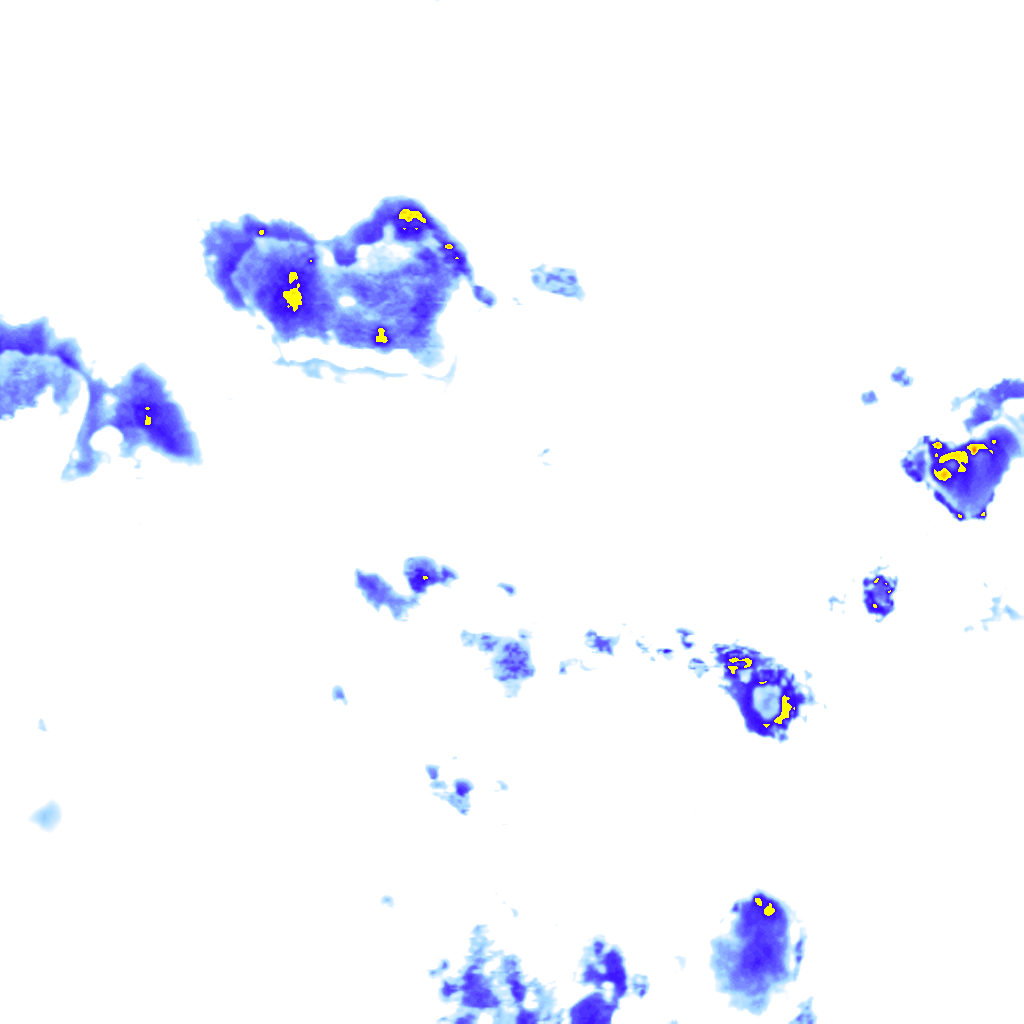 Image Layer