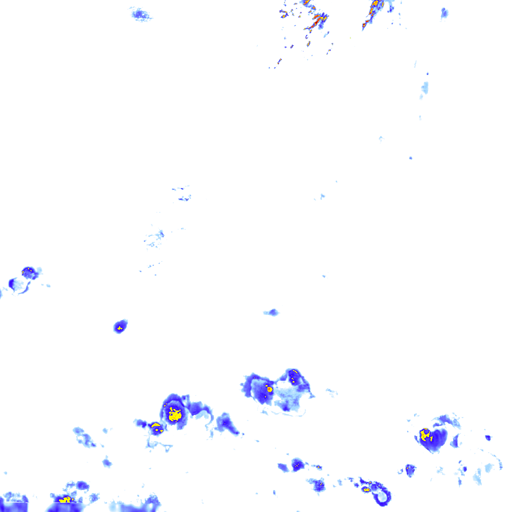 rainLayer