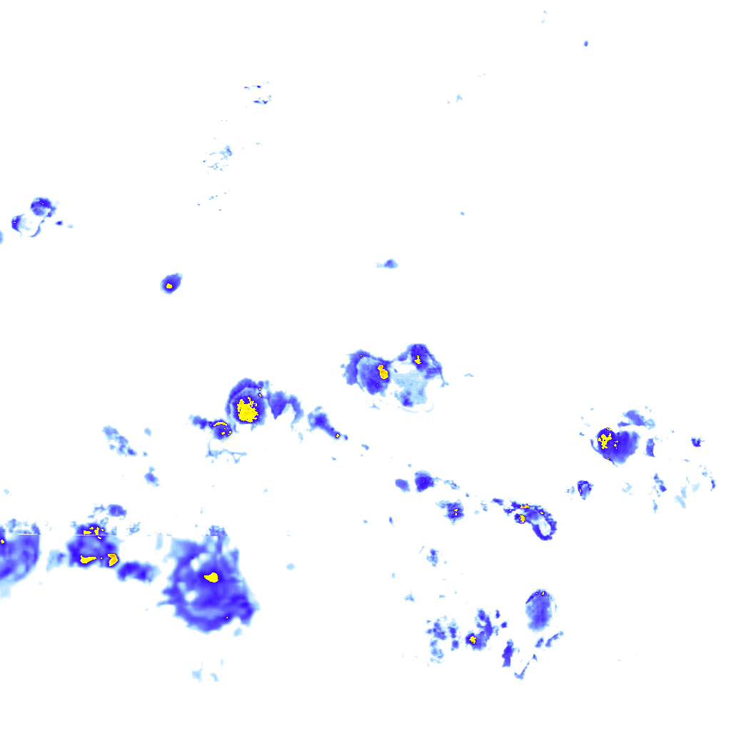 rainLayer