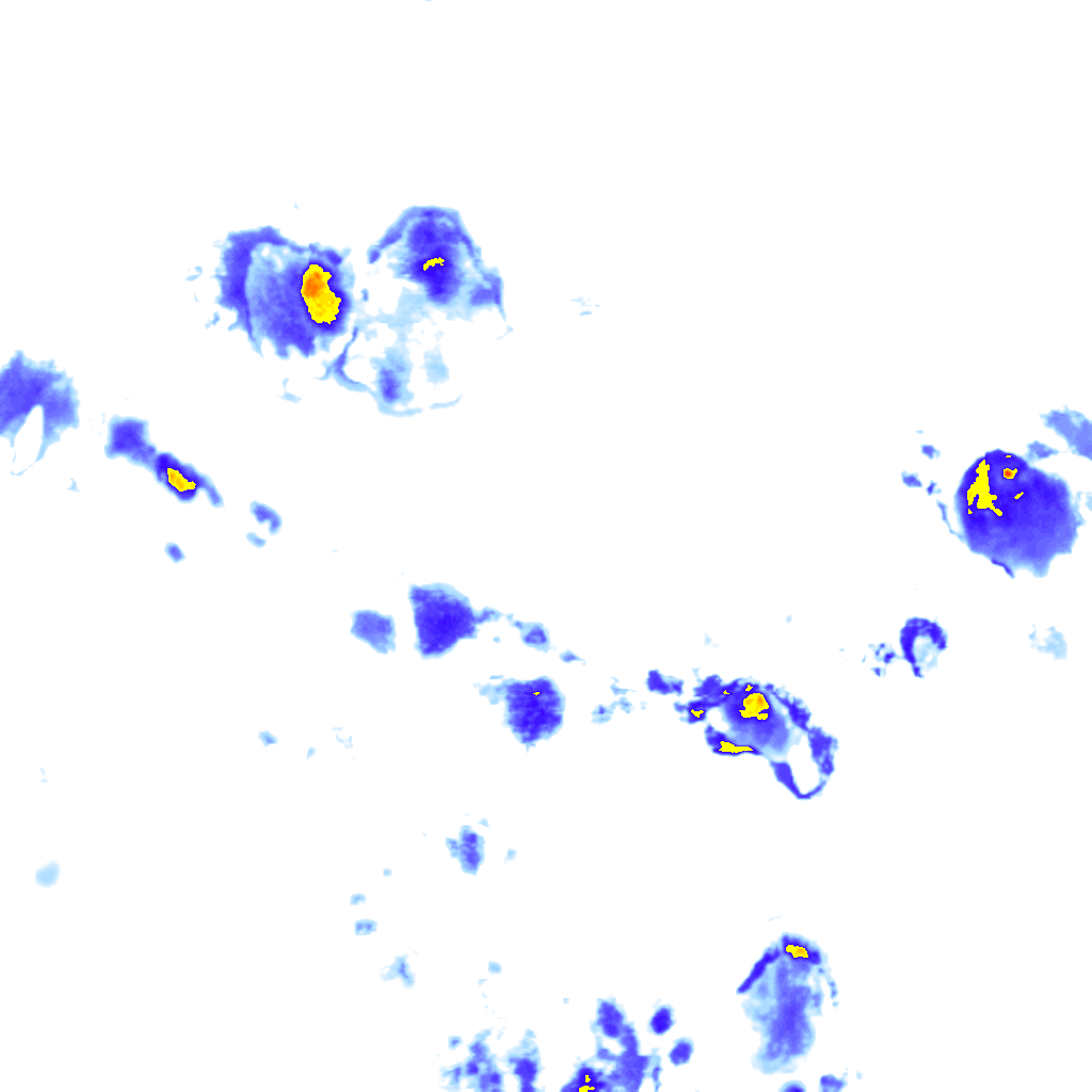 rainLayer