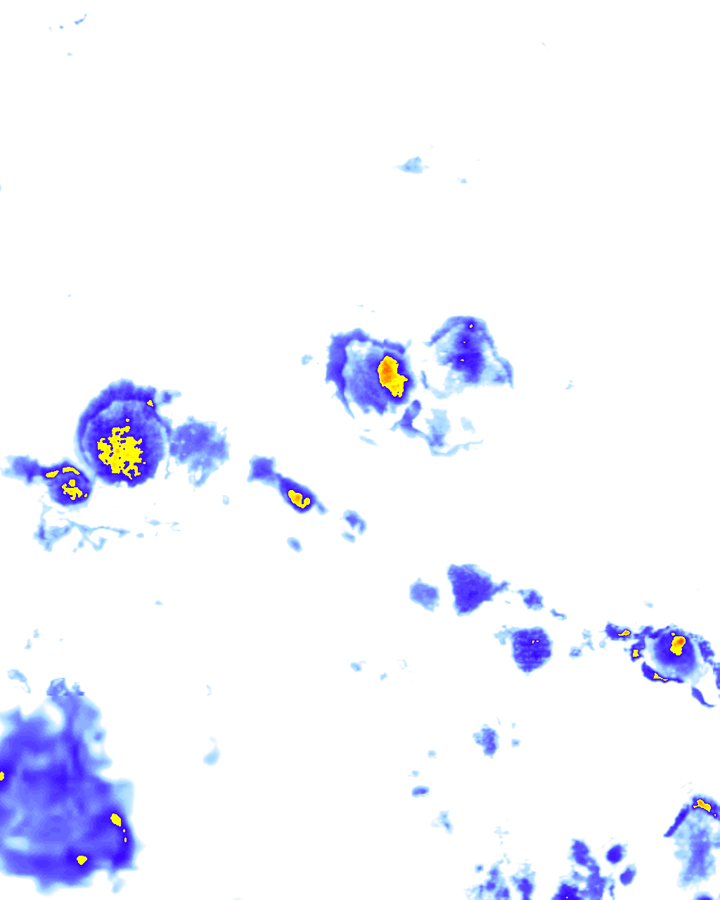 Image Layer
