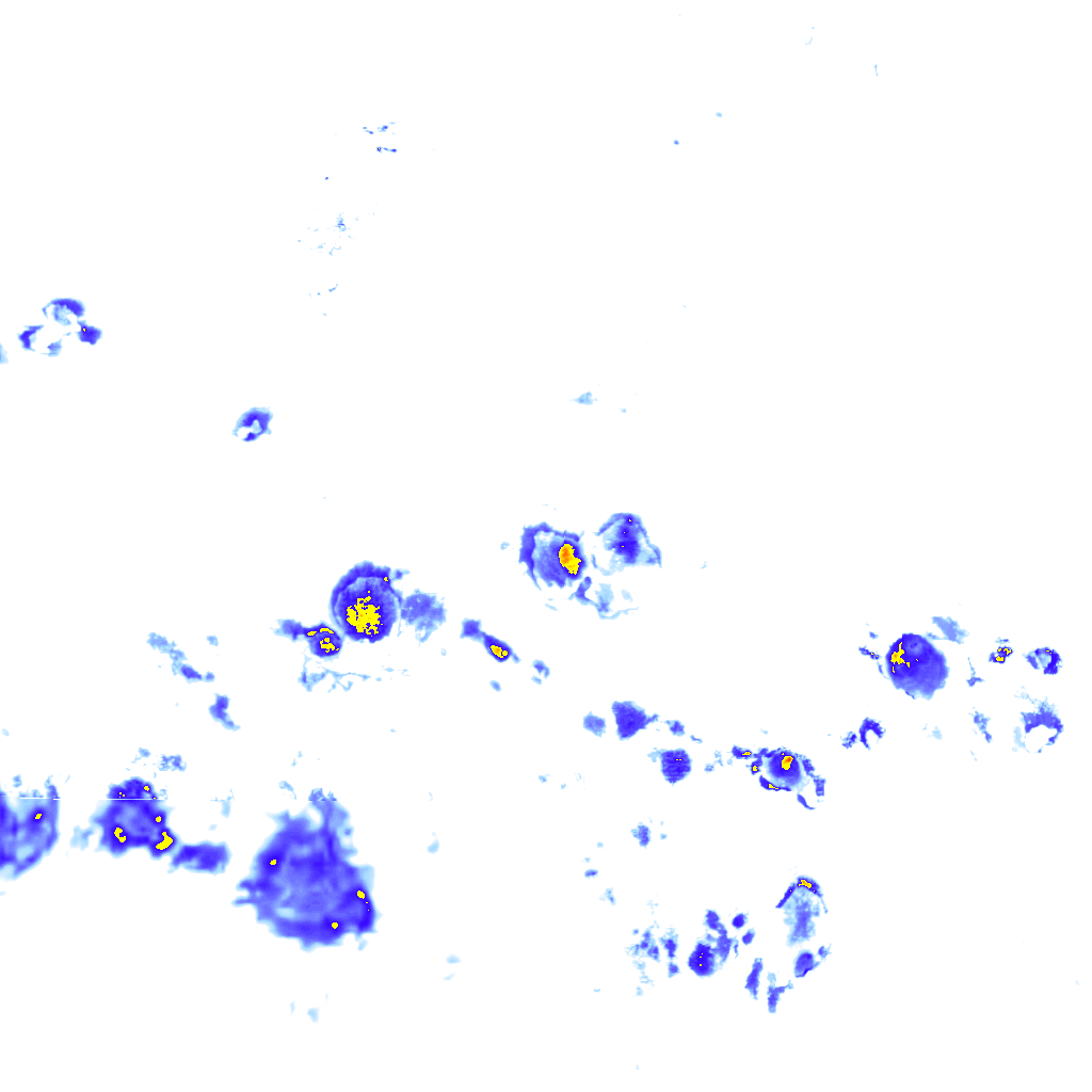 rainLayer