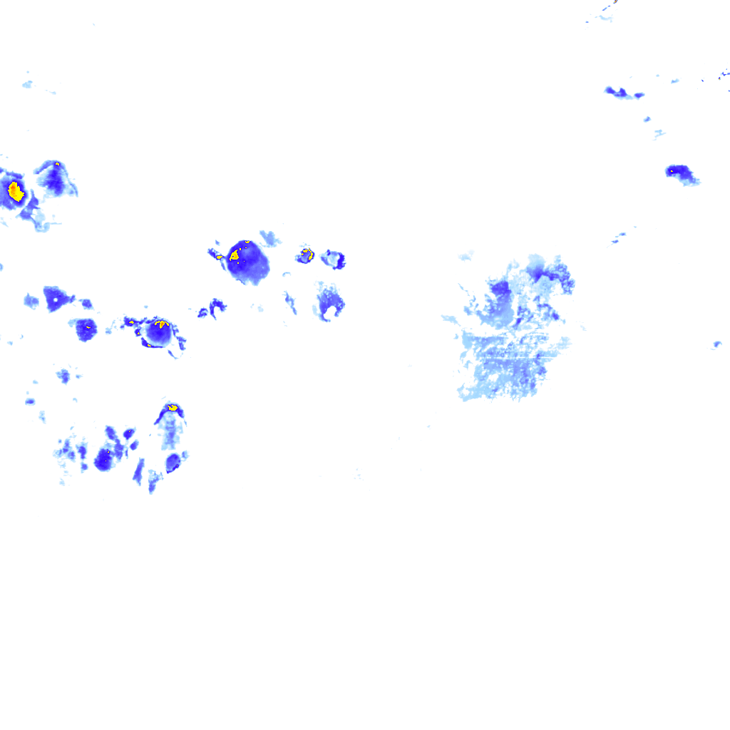 rainLayer