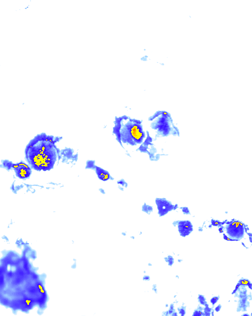 rainLayer
