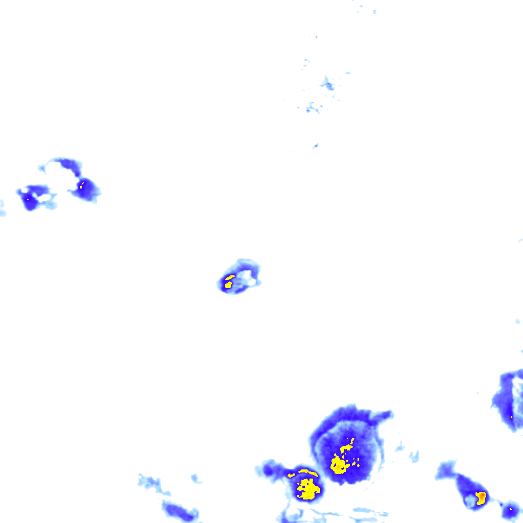 rainLayer