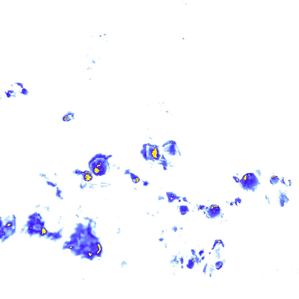 rainLayer