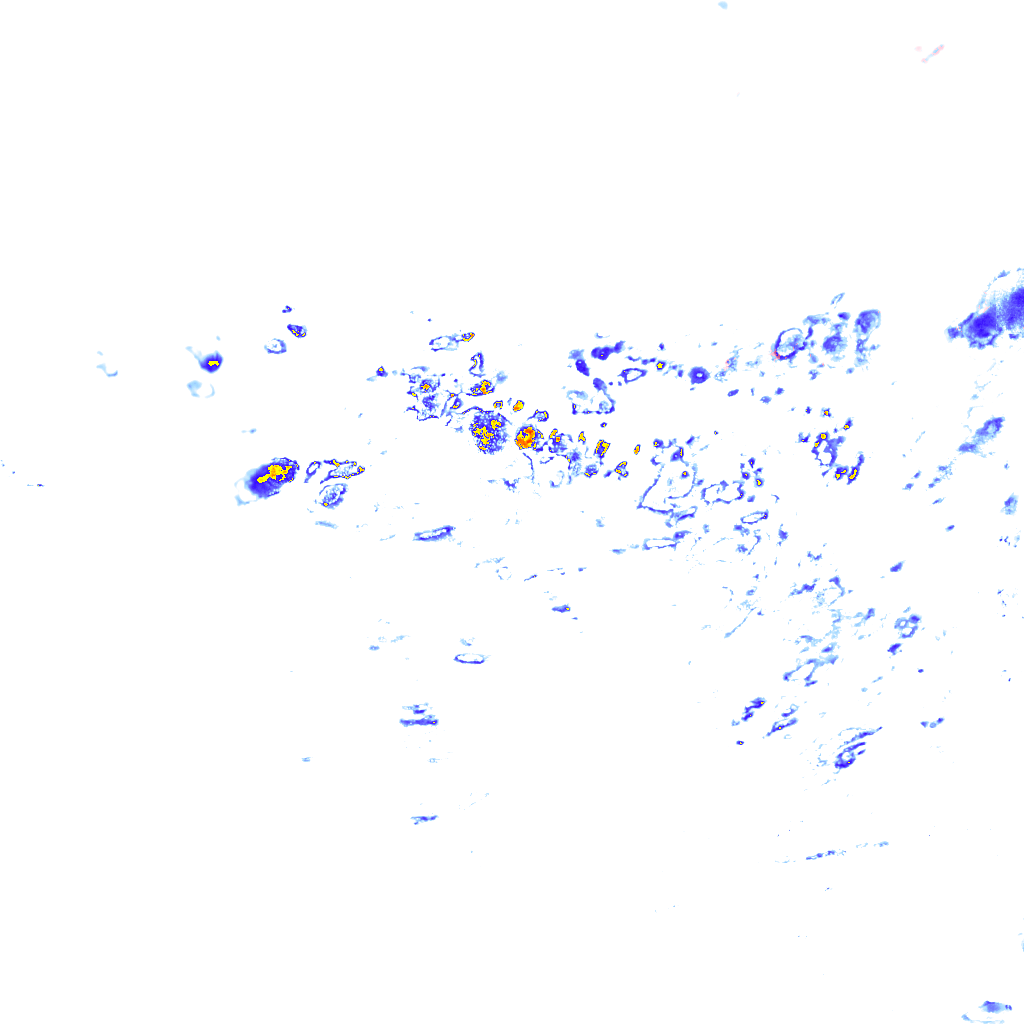 rainLayer