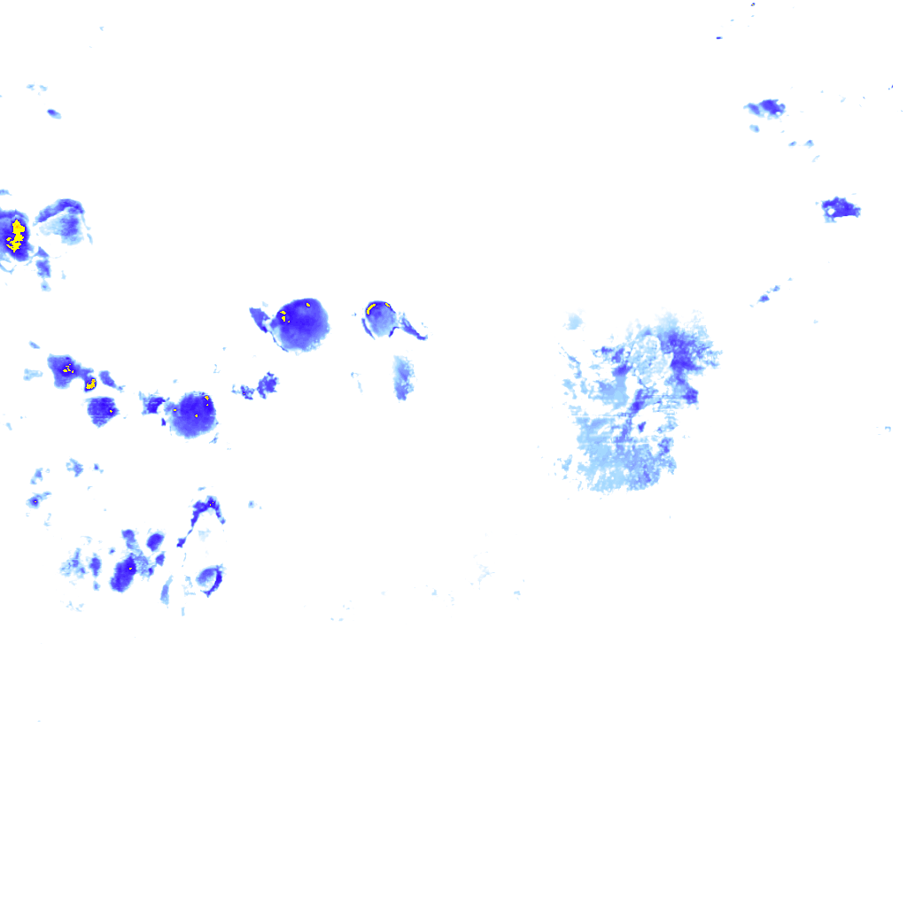 rainLayer