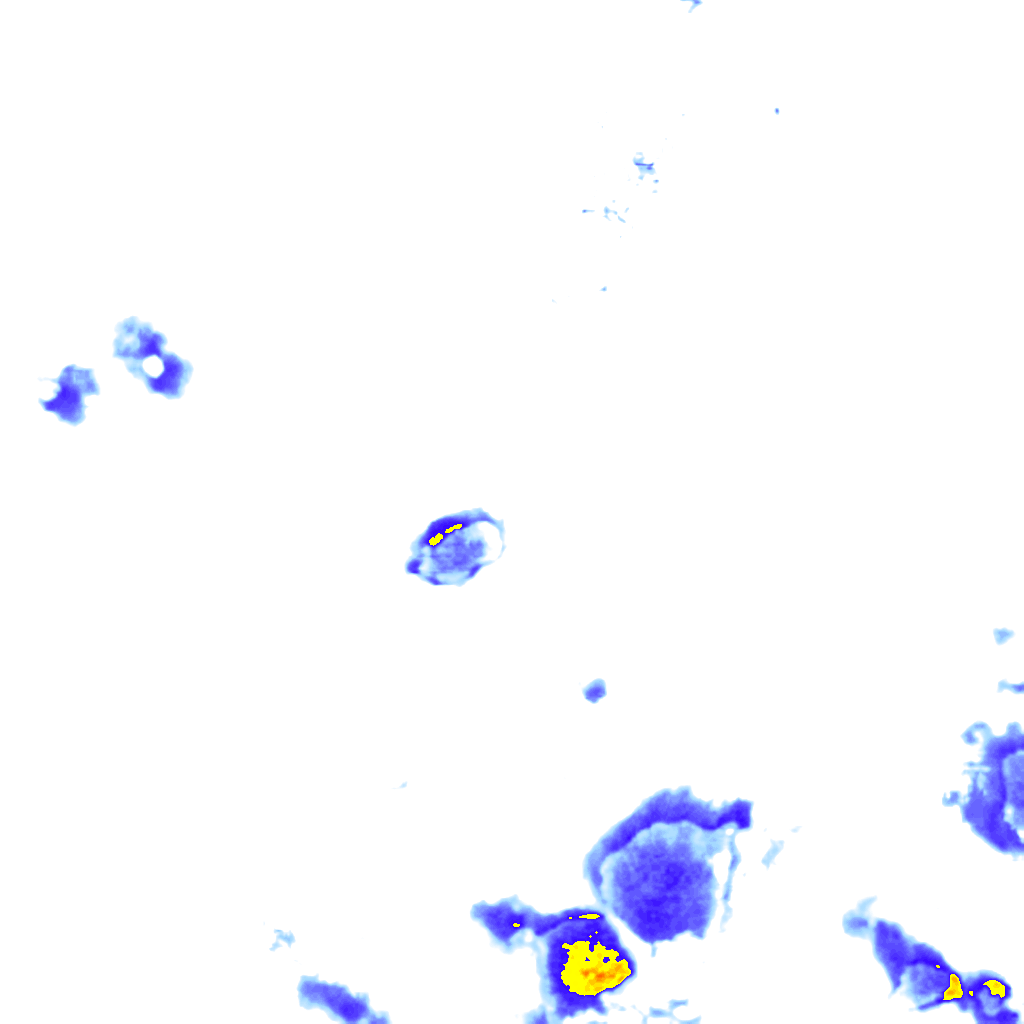 rainLayer