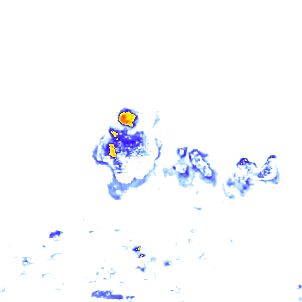 Image Layer