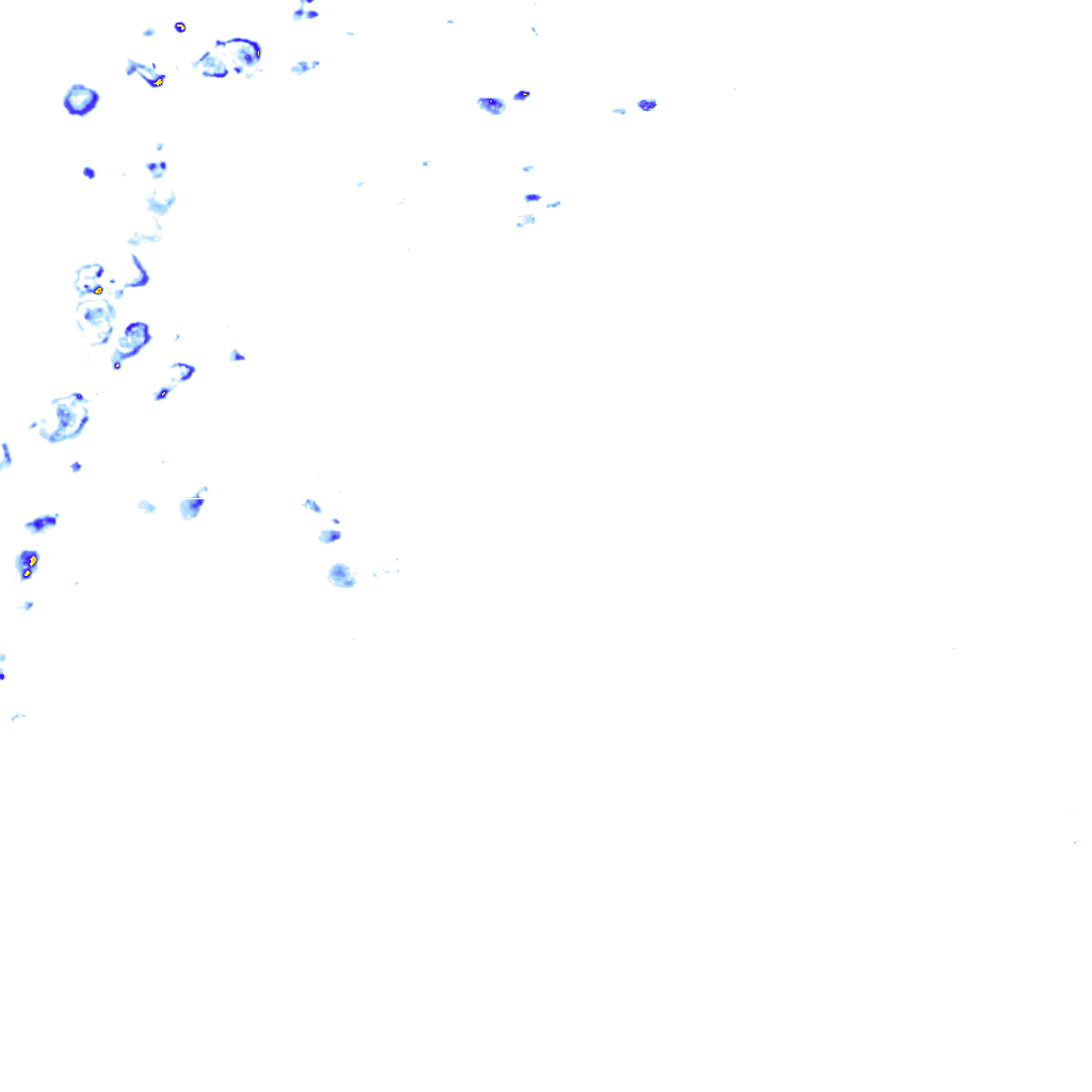 rainLayer