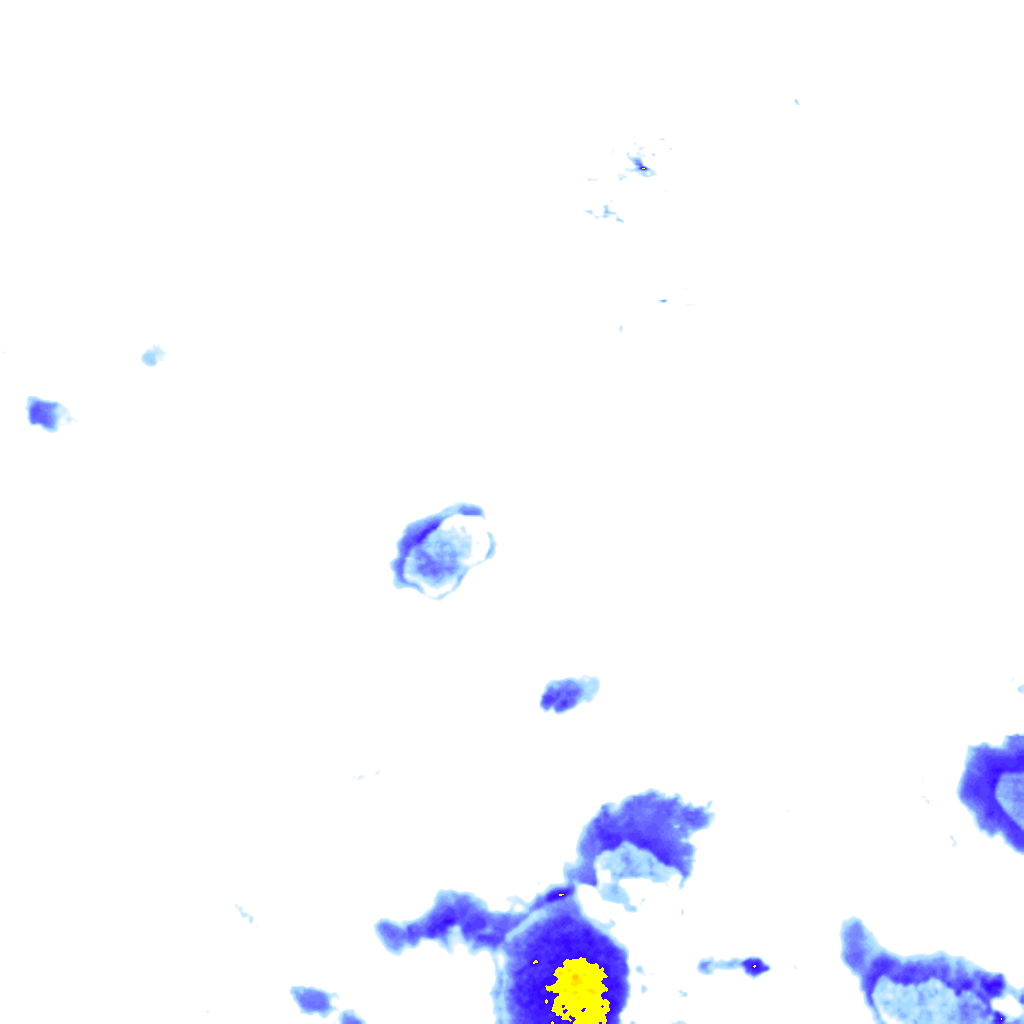 Image Layer