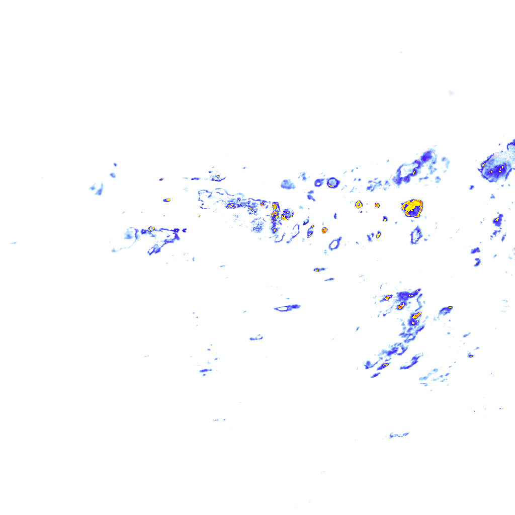 rainLayer