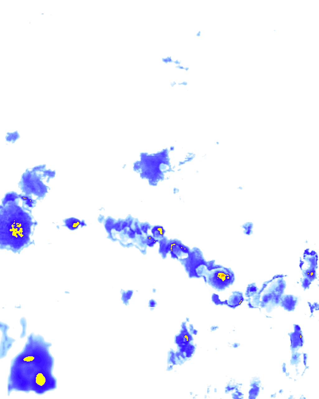 rainLayer