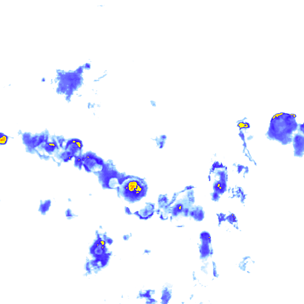 rainLayer