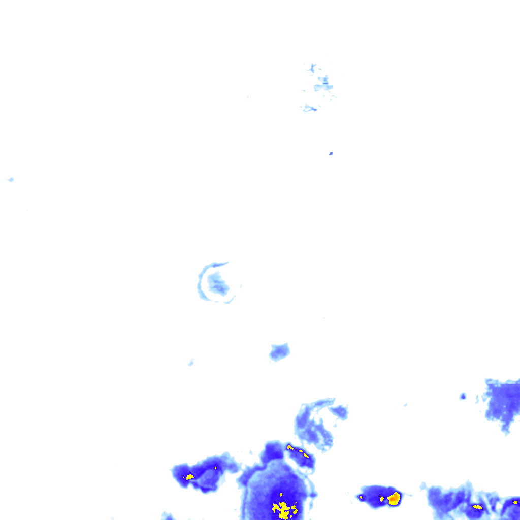 rainLayer
