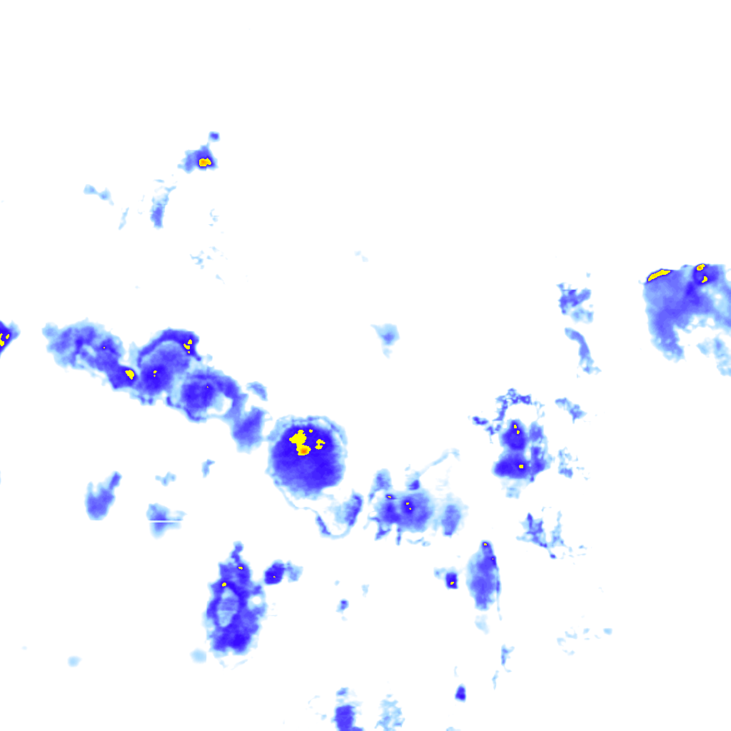 rainLayer