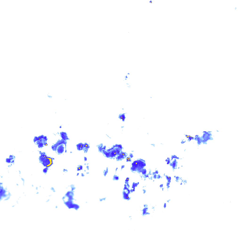 rainLayer