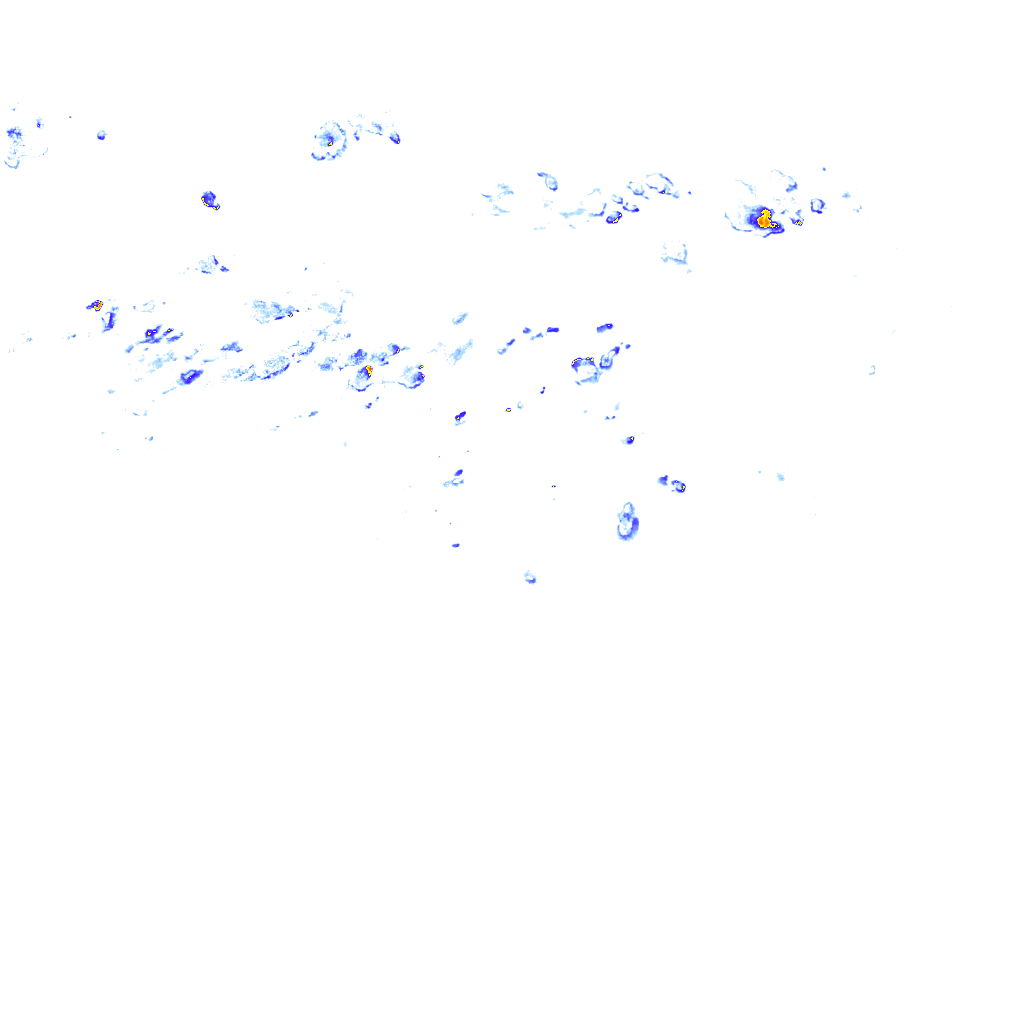 rainLayer