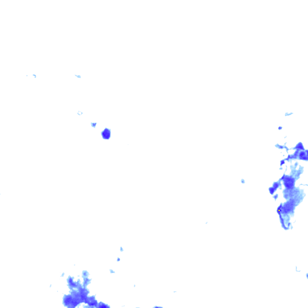 rainLayer