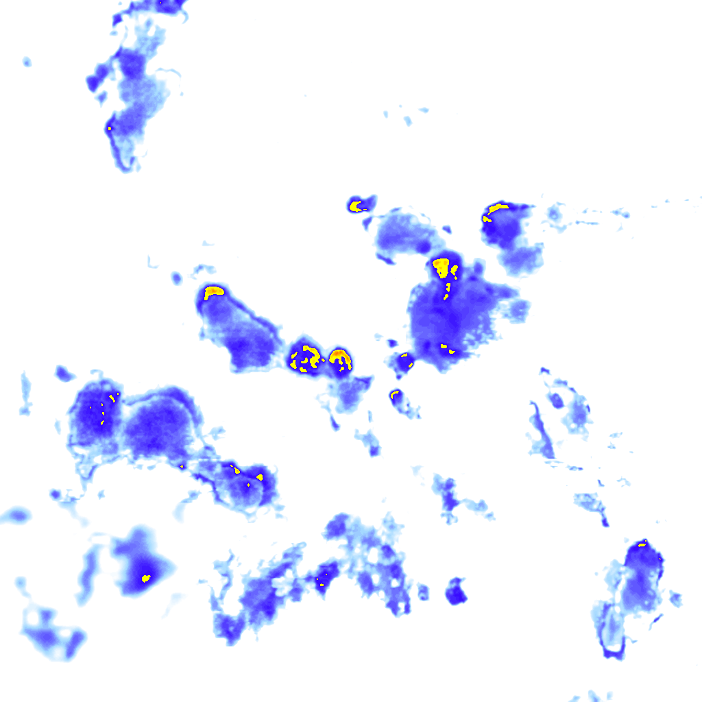 rainLayer