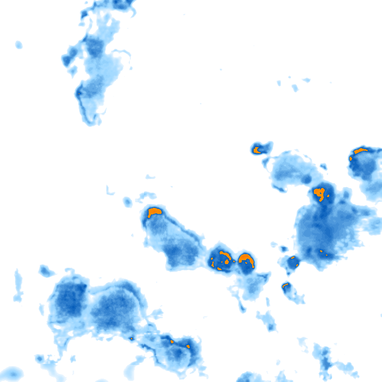 rain layer