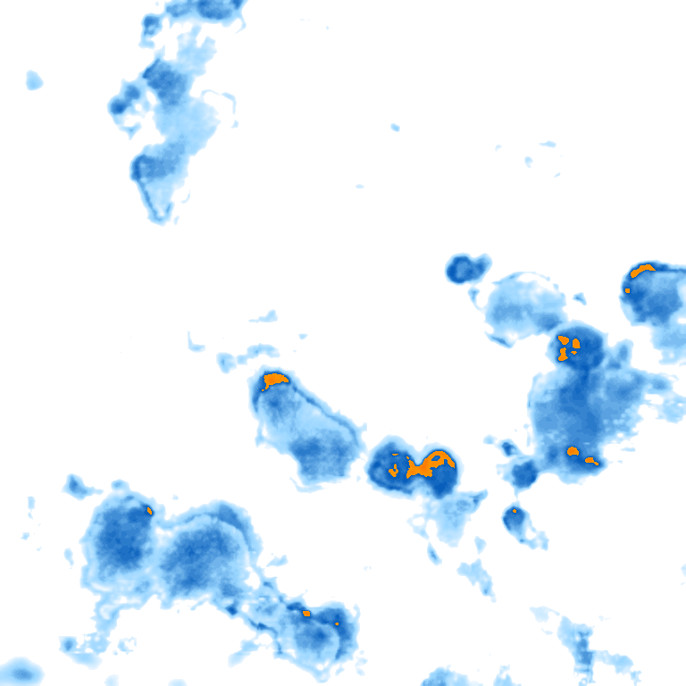 rain layer