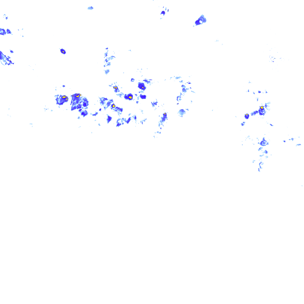 rainLayer