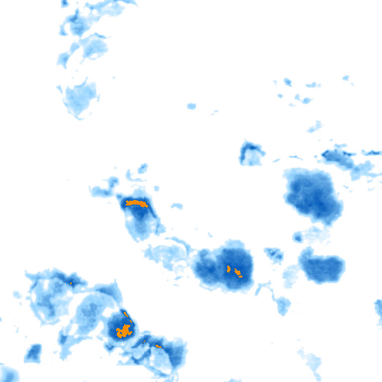 rain layer