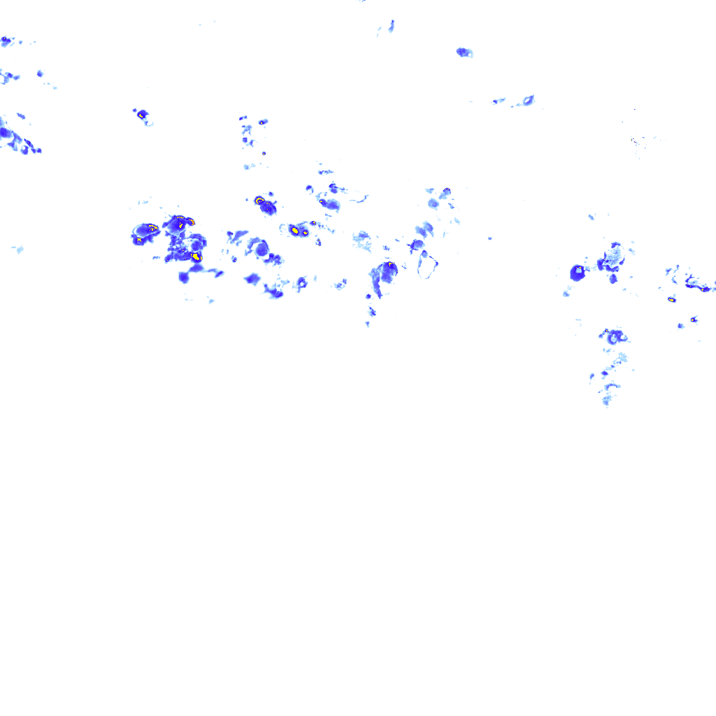 rainLayer