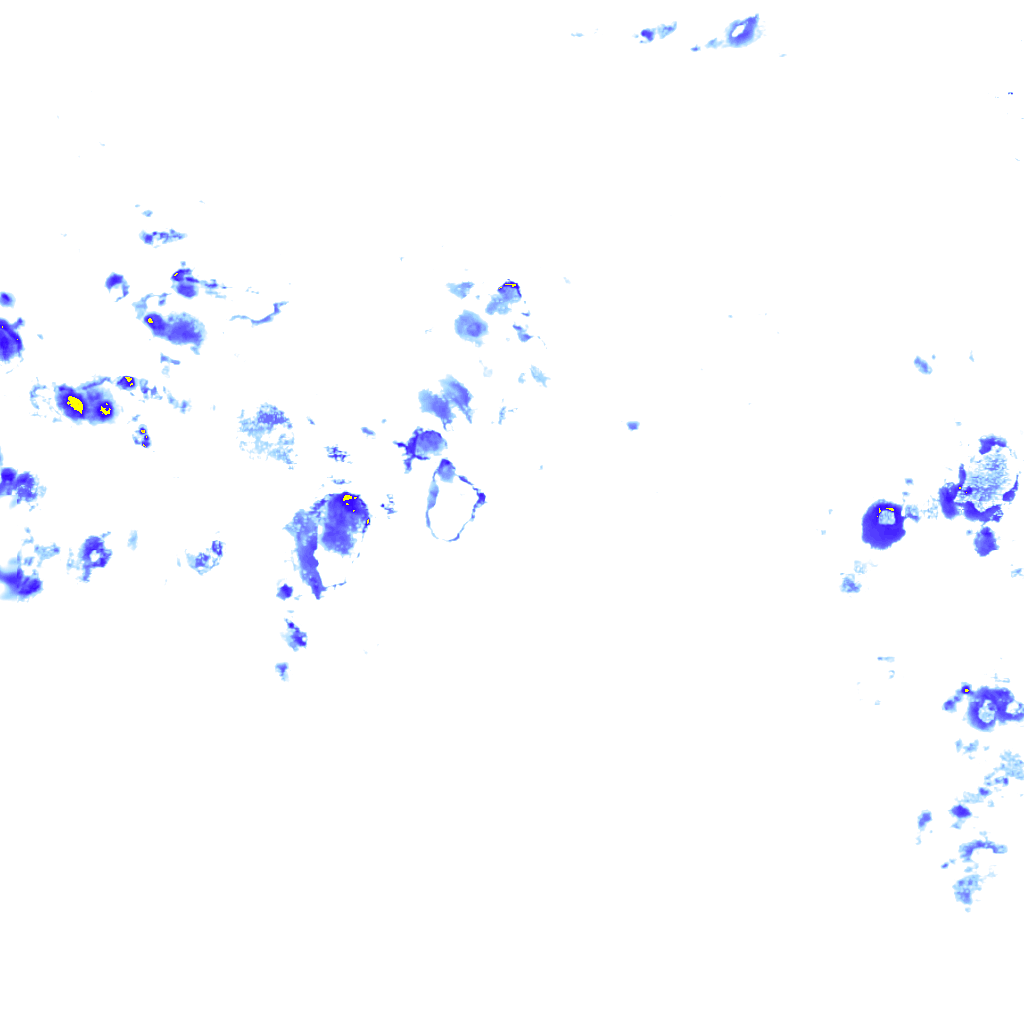 rainLayer