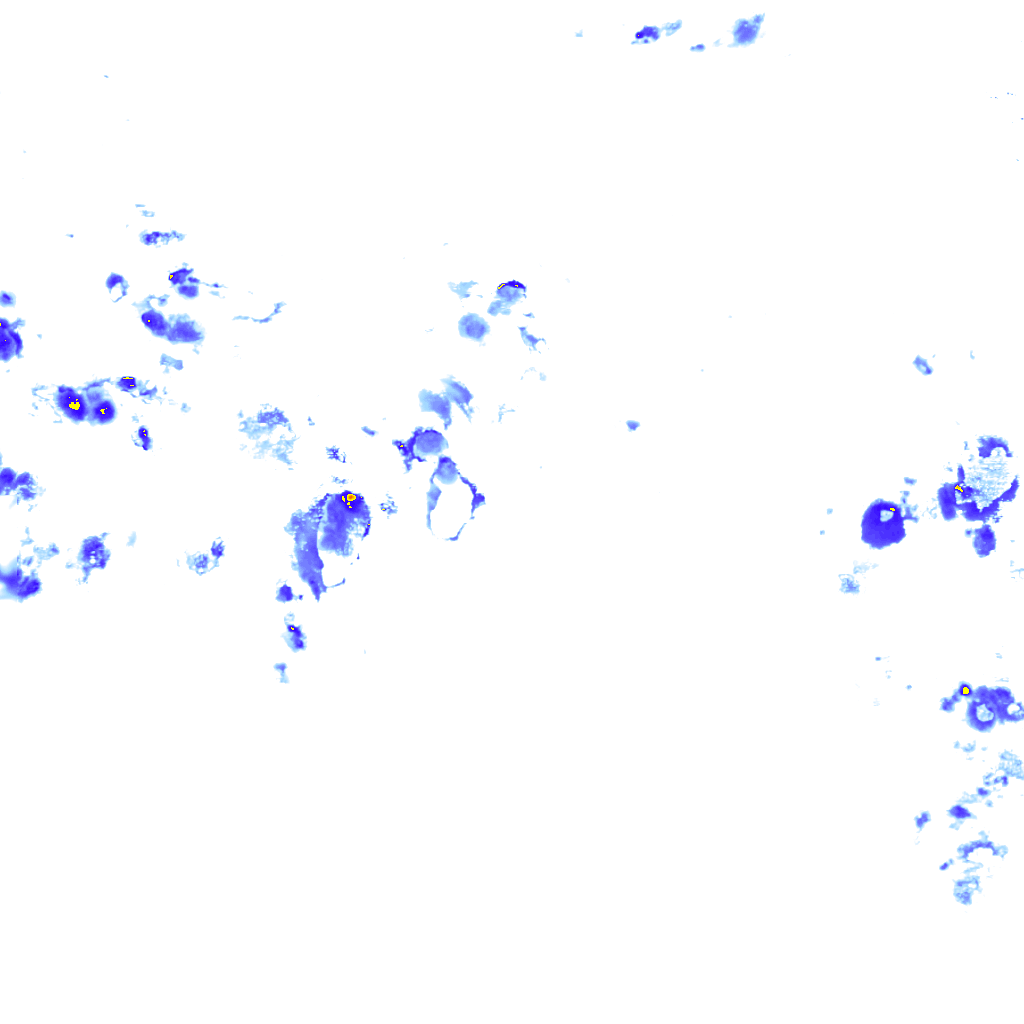 Image Layer