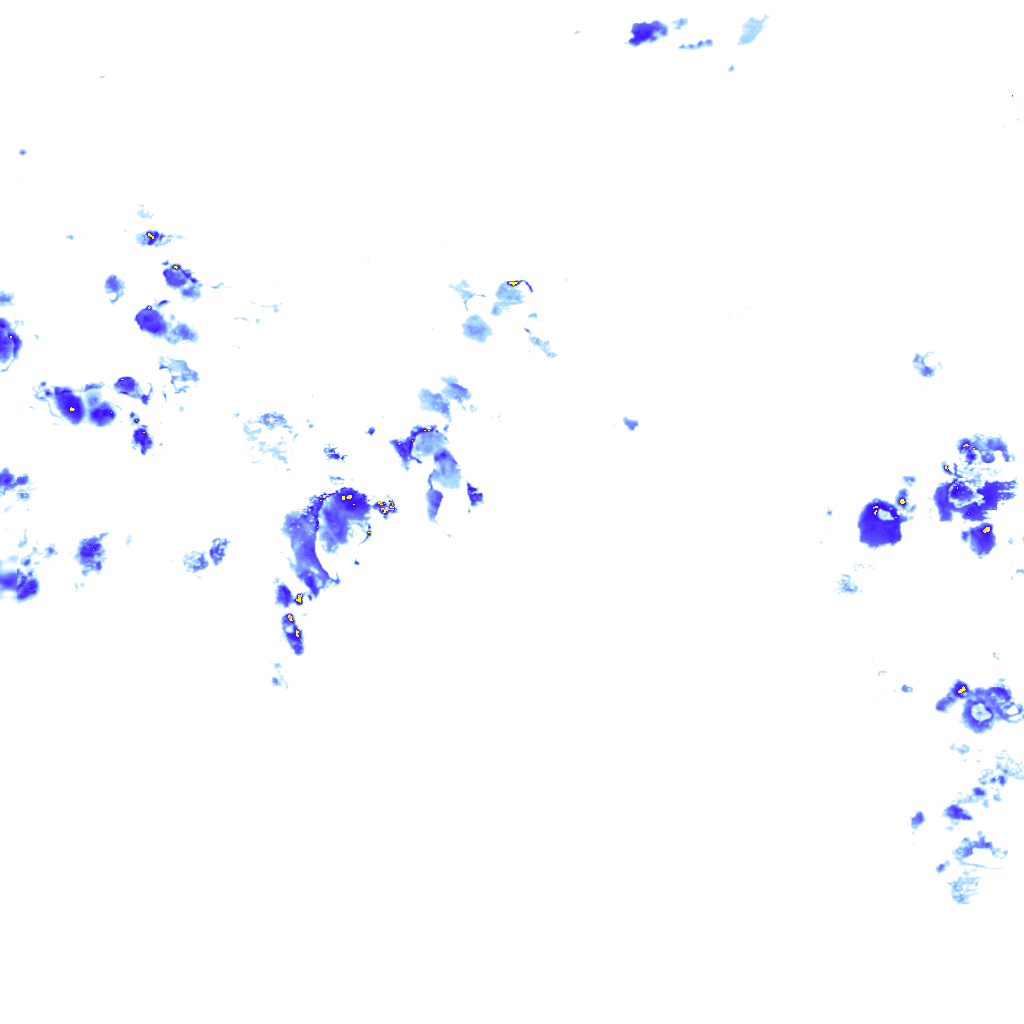 rainLayer
