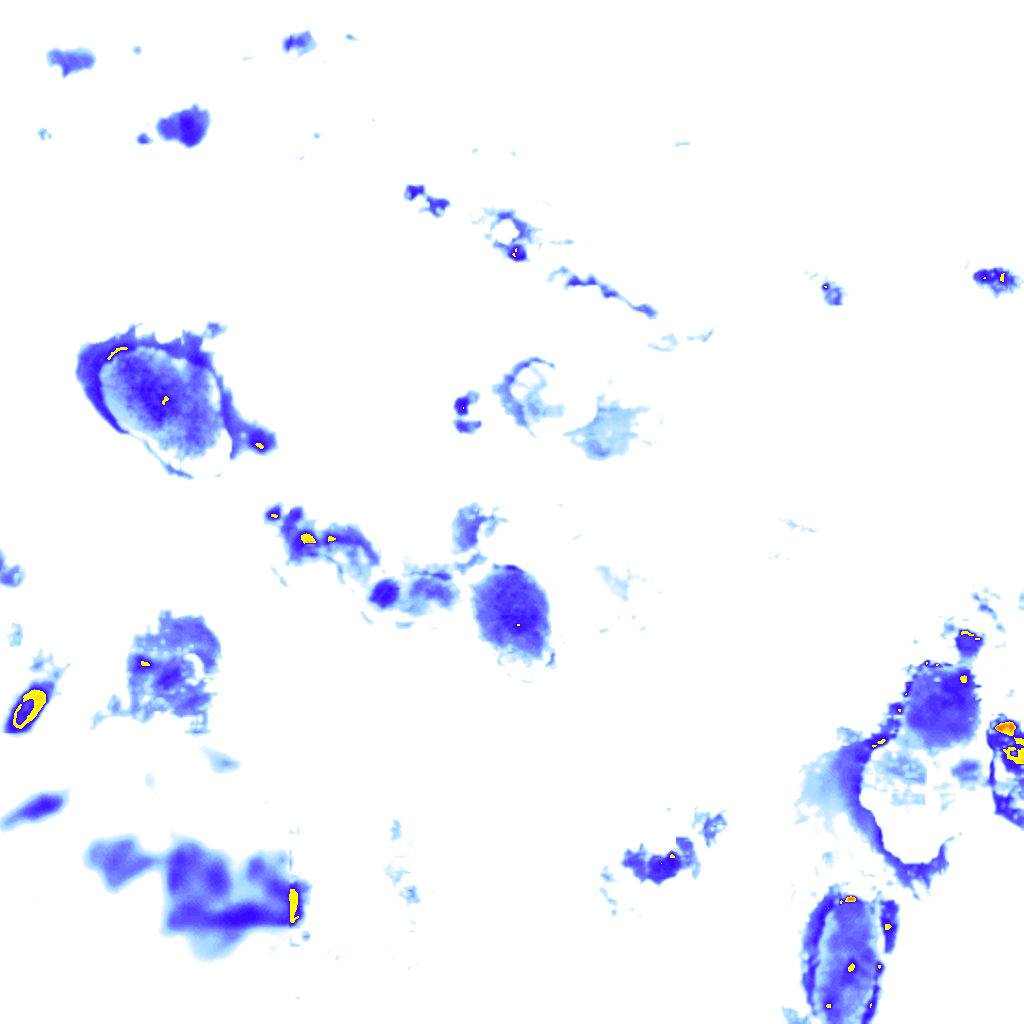 rainLayer