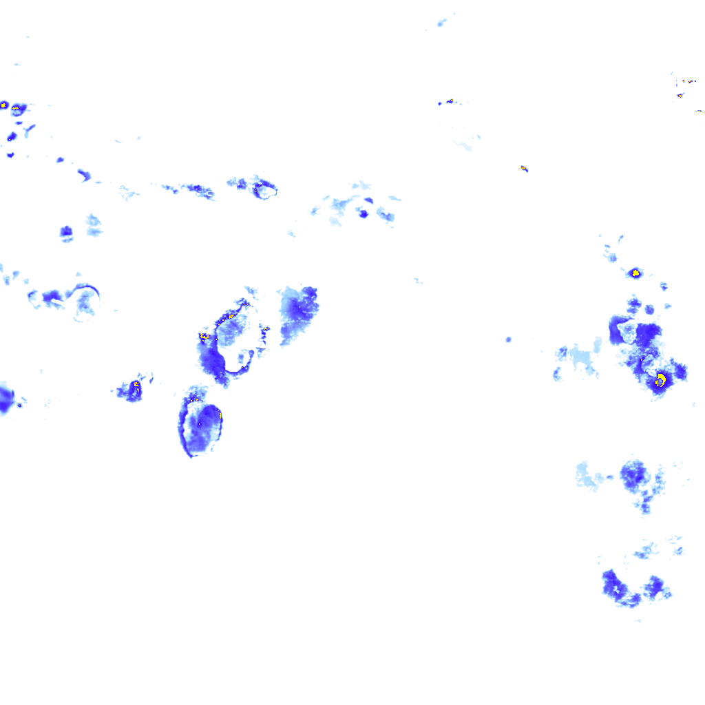 rainLayer