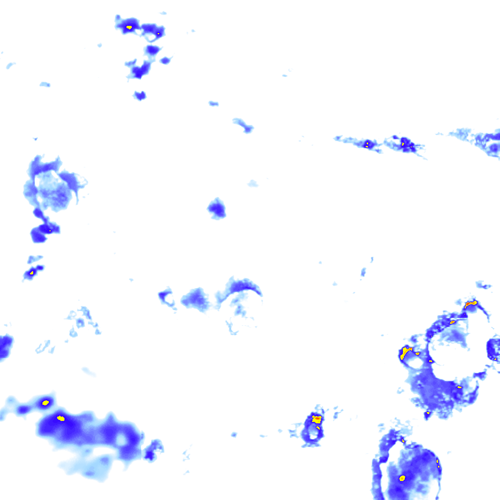 rainLayer