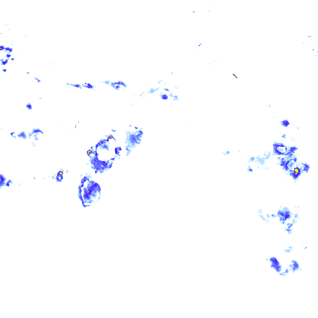 rainLayer