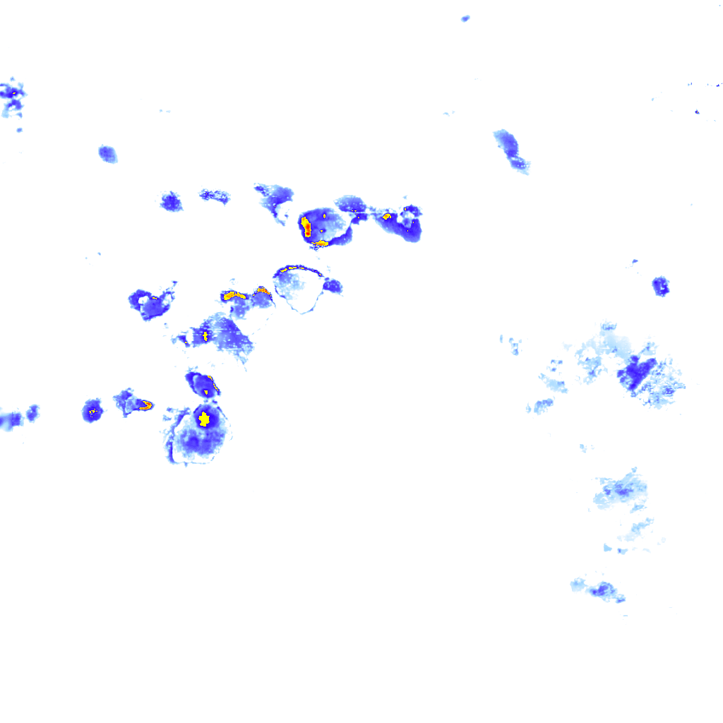 rainLayer