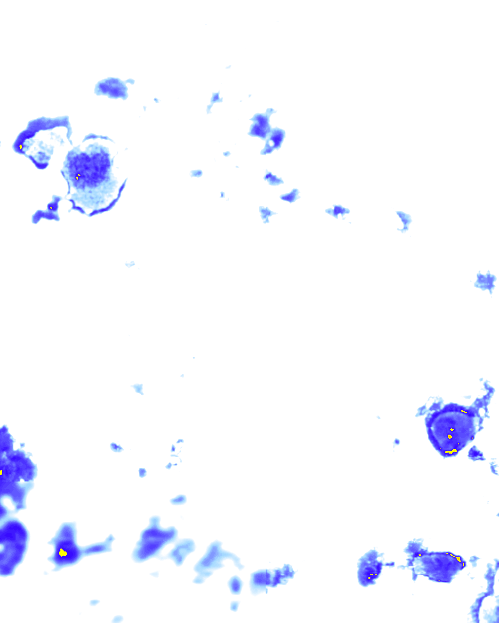 Image Layer