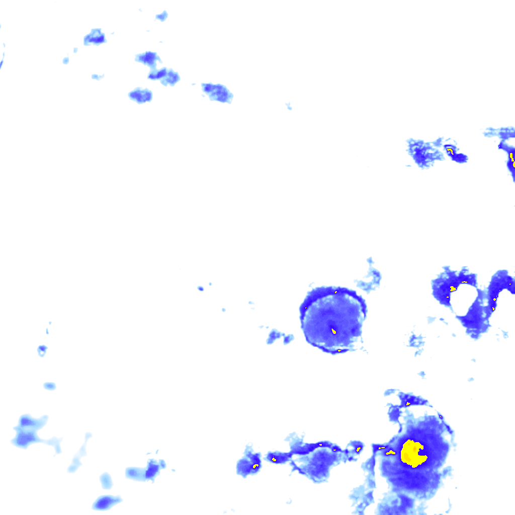 rainLayer