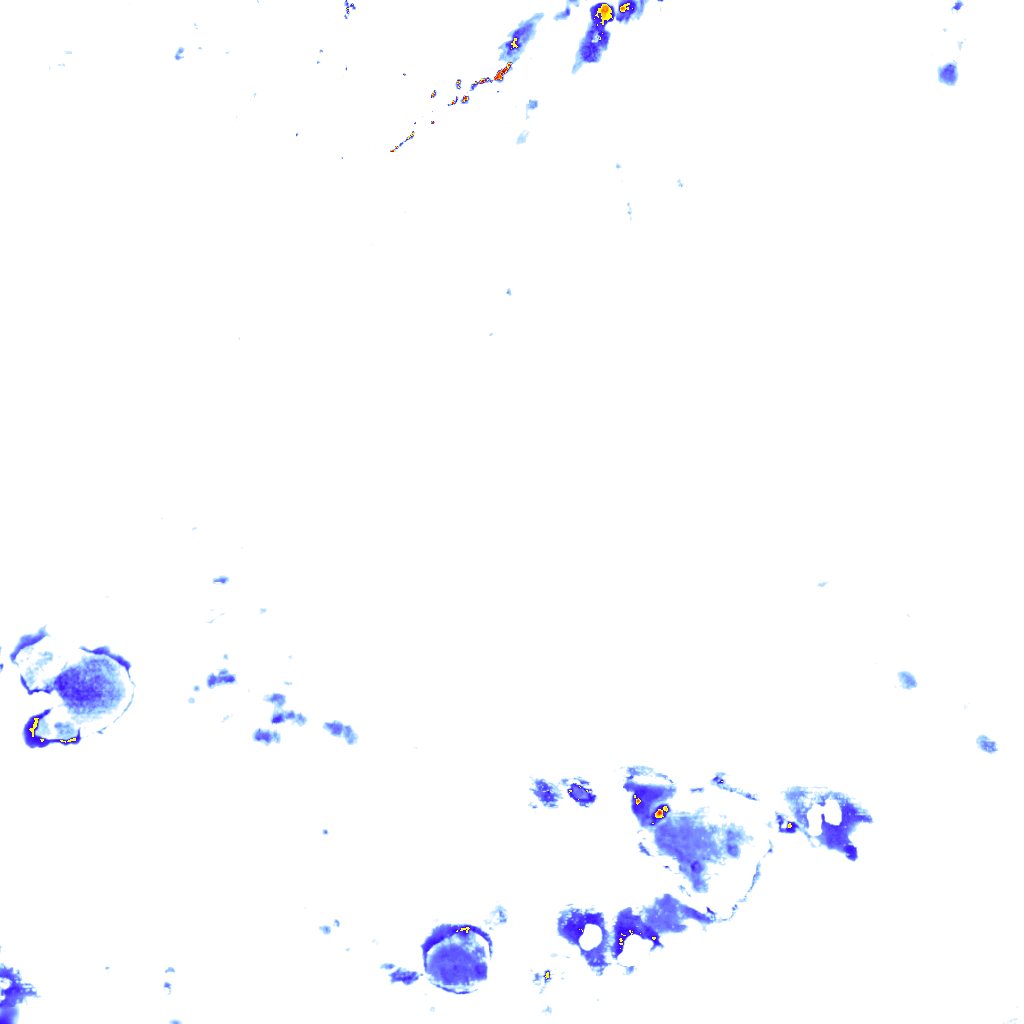 rainLayer