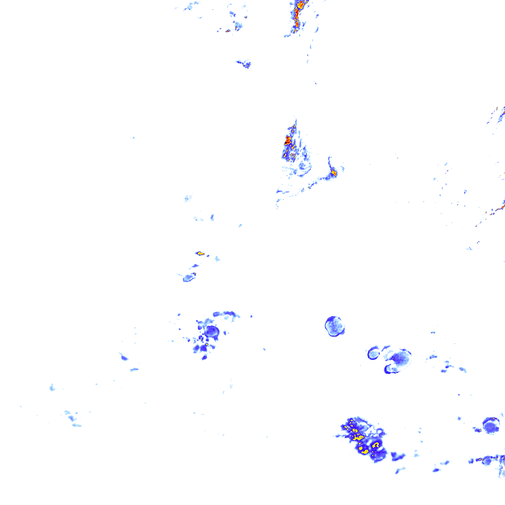 rainLayer