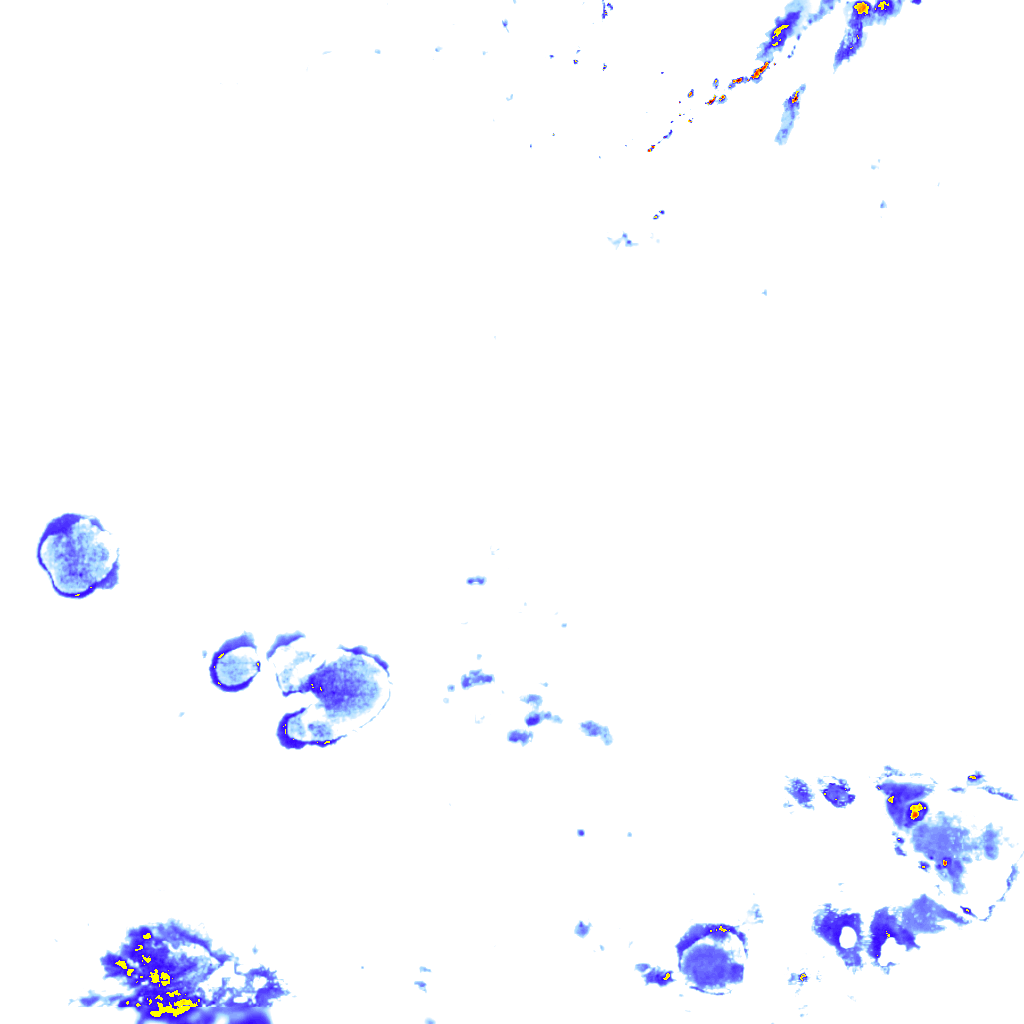 rainLayer