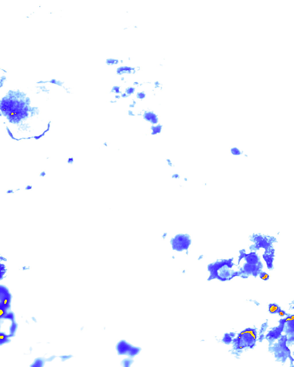 rainLayer