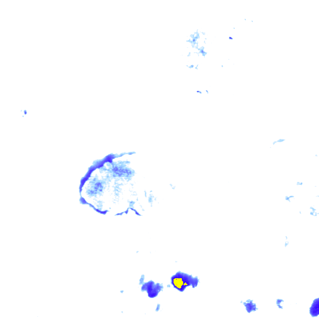 Image Layer