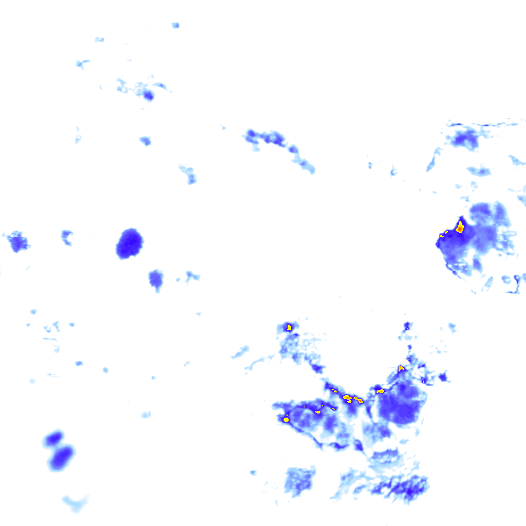 Image Layer
